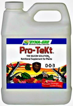 Pro-Tekt