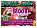 Bloom125x94.jpg