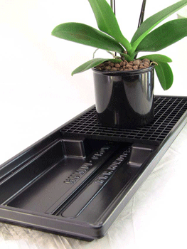 Humidity Tray