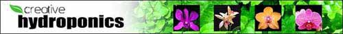 banner01.JPG