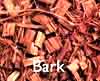 bark01.jpg