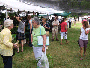 shorefest04.jpg