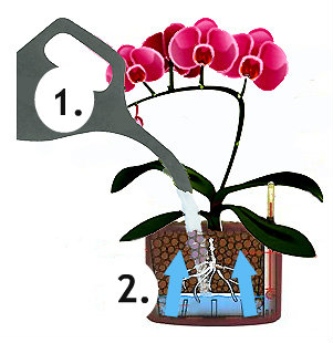 hydroponic system